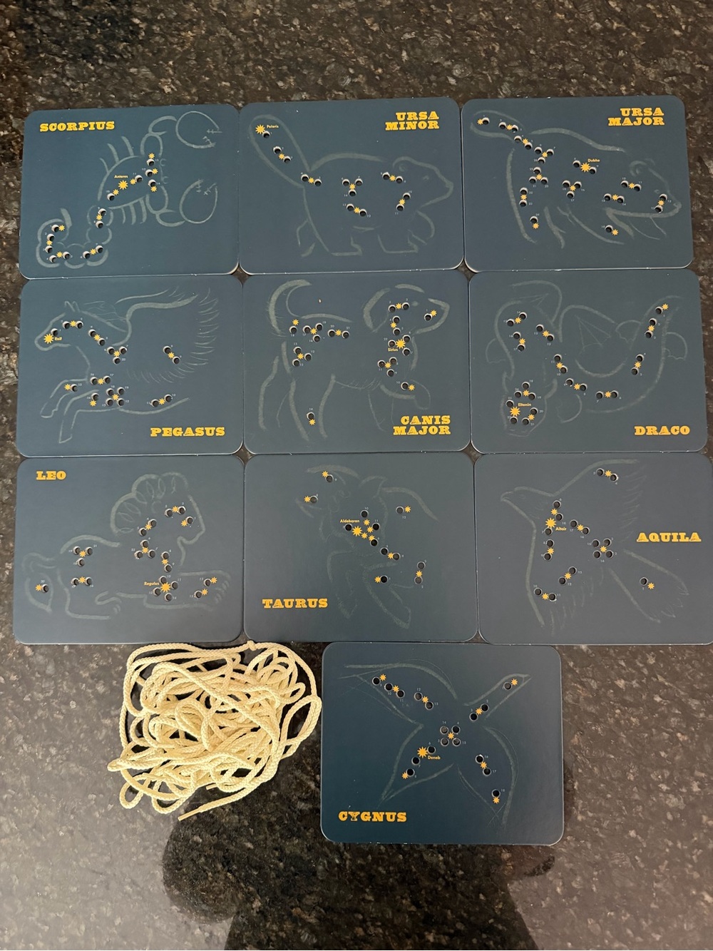 Animals in the Stars Lacing Cards - Glow in the Dark